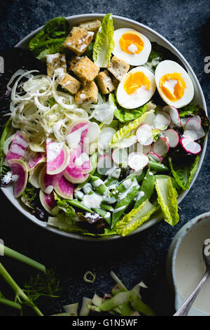 Spring greens salad with fennel, radish & miso-buttermilk dressing Stock Photo