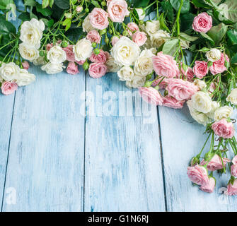 Delicate fresh roses on the blue wooden background. Stock Photo