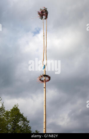 Tall wooden maypole in a village in the Czech Republic Stock Photo