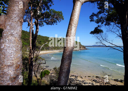 Calm morning at Granite Bay, Noosa National Park, Noosa Shire, Sunshine Coast, Queensland, Australia Stock Photo