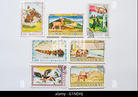 UZHGOROD, UKRAINE - CIRCA MAY, 2016: Collection of  post stamps printed in Mongolia,  shows different animals, circa 1974 Stock Photo