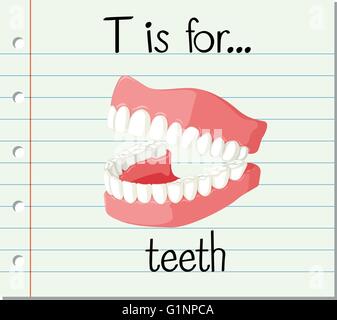 Flashcard letter T is for tooth illustration Stock Vector Image & Art ...