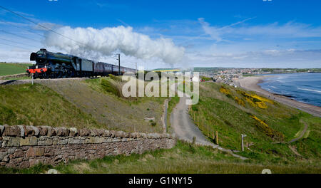 Berwick upon Tweed, England, 17 May 2016. The Flying Scotsman (LNER Class A3 4472)  a Pacific steam locomotive) heads south after taking on water at Tweedmouth, Berwick upon Tweed, having just completed her first post restoration visit to Scotland. Built in Doncaster, South Yorkshire, in 1923, the Flying Scotsman pulled the first train to officially break the 100mph barrier in 1934. Stock Photo