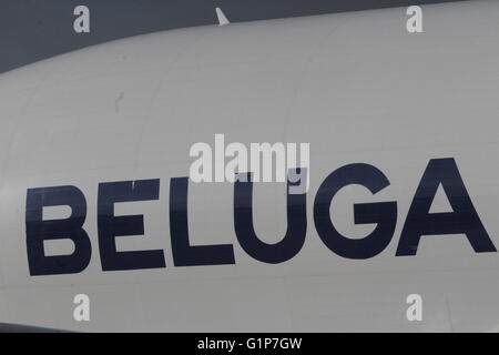Bucharest, Romania. 18th May, 2016. Airbus A300-600ST (Super Transporters), Beluga, is welcomed for the first landing on Henri Coanda International Airport of Bucharest. Credit:  Gabriel Petrescu/Alamy Live News Stock Photo
