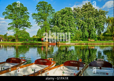 Rowing boats moored on the River Avon in Stratford upon Avon, Warwickshire on a summer afternoon Stock Photo
