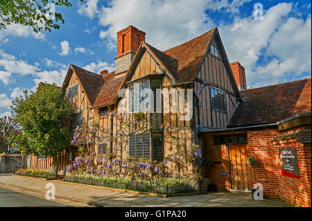 Halls Croft is one of the historic properties maintained by the Shakespeare trust in Stratford upon Avon, seen here with flowering wisteria. Stock Photo