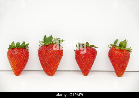 Red strawberries with green stems arranged in white background Stock Photo