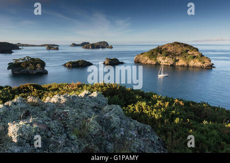 Early morning light, topshot of a yacht anchored on its own amongst the small islands to the west of Great Barrier Island. Hauraki Gulf, New Zealand Stock Photo