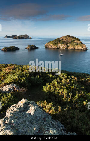 Early morning light, topshot of a yacht anchored on its own amongst the small islands to the west of Great Barrier Island. Hauraki Gulf, New Zealand Stock Photo