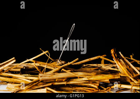 Looking for lost  needle in haystack. Searching. Lost and found. Stock Photo