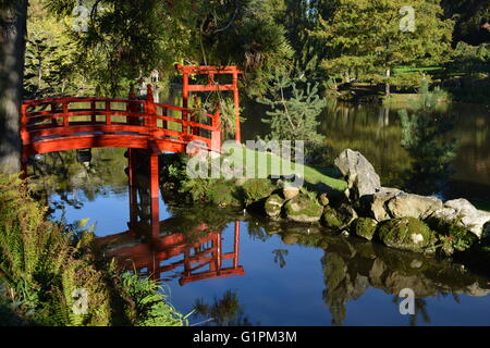 Parc Orientale de Maulevrier - Oriental Park of Maulevrier / Japanese Gardens SItuated in western France in the Deux Sevres Stock Photo