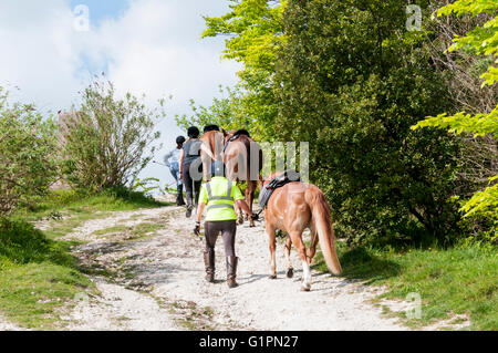 Riders leading their horses up a steep path onto Reigate Hill on the North Downs in Surrey. Stock Photo