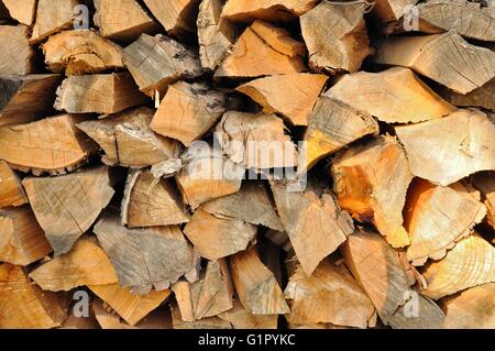Stack of chopped firewoods prepared for winter Stock Photo