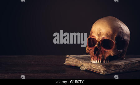 Human skull on an open ancient book, literacy and knowledge concept Stock Photo