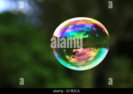 Colorful soap bubble floating in the tropical garden Stock Photo