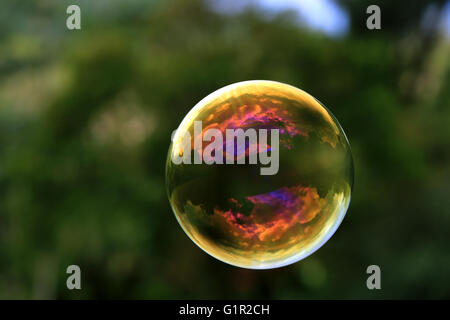 Floating colorful soap bubble, macro Stock Photo