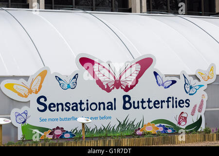 Sensational Butterflies sign at exhibition, Natural History Museum, London UK in April Stock Photo