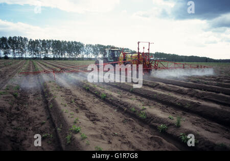 GERMANY, pesticide and herbicide application in aspargarus field in Brandenburg, Fendt tractor with spraying machine Stock Photo