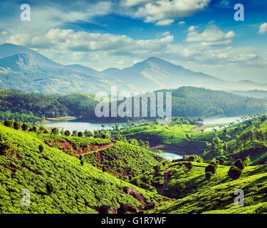 Tea plantations and river in hills near Munnar, Kerala, India Stock Photo