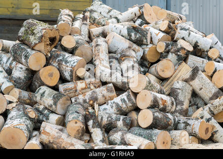 pile of birch logs lying on the ground Stock Photo