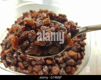 Brown raisins on a spoon, infront of more dry grapes Stock Photo