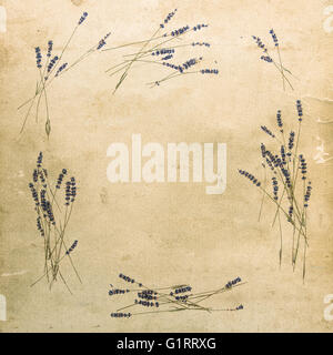 Lavender flowers. Floral frame from dried plants. Vintage texture background Stock Photo