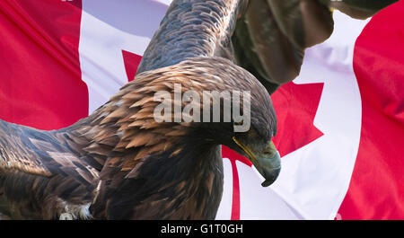 Eagle Flag - Temu Canada
