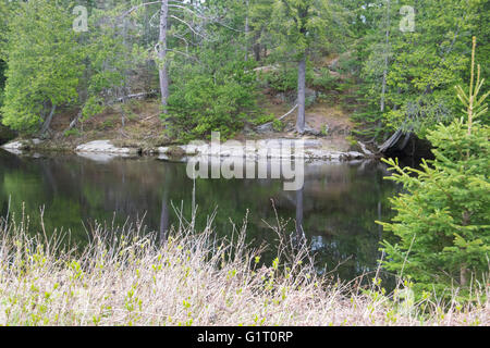 A view of the Aux Sables River. Stock Photo