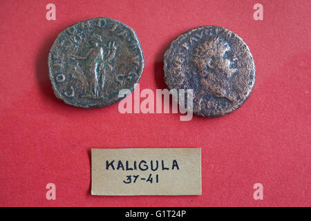Ancient Roman coins of Emperor Caligula in Diocesan Museum in Plock Poland Stock Photo