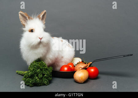 Rabbit inside a frying pan over gray background Stock Photo