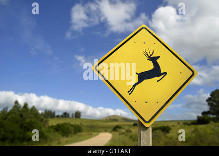 Deer crossing, wildlife animal environment conservation concept. Road sign with reindeer icon in rural scene. Stock Photo