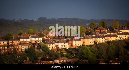 Sheffield, UK. 18th May, 2016. Between heavy rain showers, last light of the day illuminates rows of houses in the Greystones area of Sheffield, surrrounded by freshly green Spring trees. !8th May 2016, Sheffield, South Yorkshire, England, UK. Credit:  Graham Dunn/Alamy Live News Stock Photo