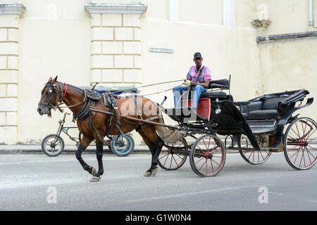 Horse drawn carriage taxi and driver in Havana, Cuba Stock Photo