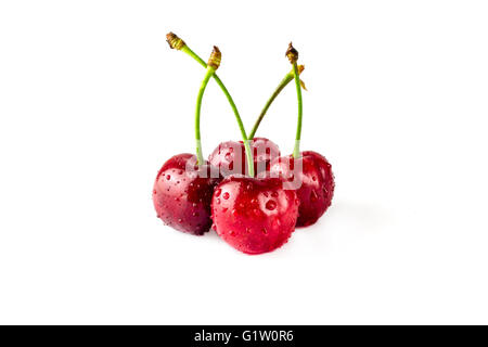 Four wet cherries with stems isolated on white background Stock Photo