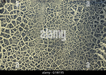 Natural Patterns I Stock Photo