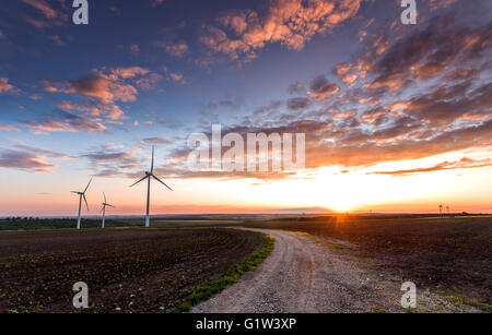 Wind turbines with power line in the sunset! Stock Photo