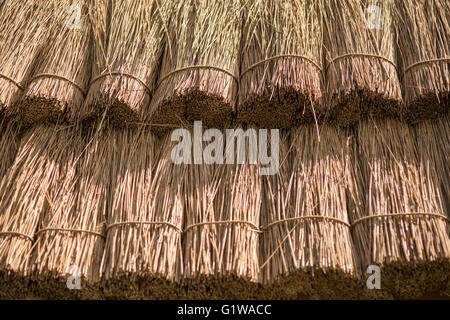 Close up straw background. Texture of thatch roof Stock Photo