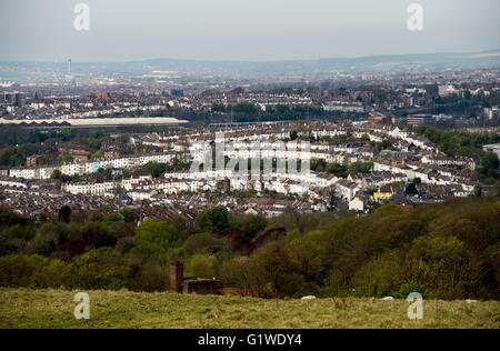 View across city of Brighton from the Tenantry Down allotments on a hill with sheep grazing , England UK Stock Photo