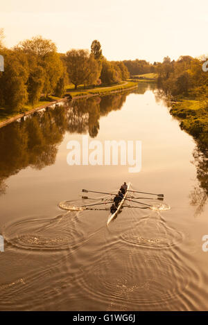 Rowing crew rowing on the River Avon at dawn, Warwick, Warwickshire England UK Stock Photo