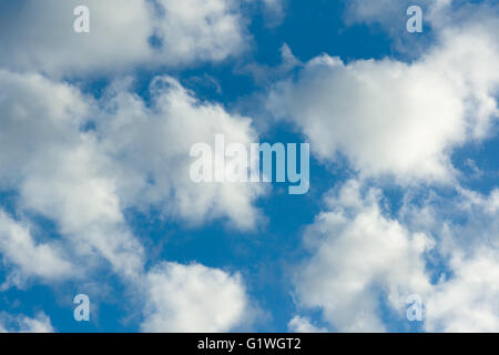 white light clouds float across the blue sky Stock Photo