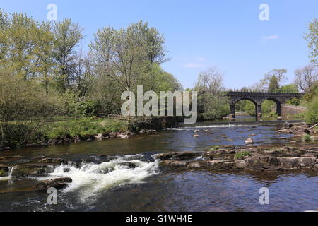 Allan Water Dunblane Scotland May 2016 Stock Photo - Alamy