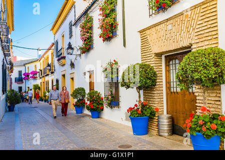 Detail of the Cordovan houses in spring. Córdoba, Andalusia, Spain, Europe Stock Photo