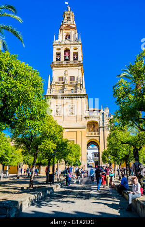 The Bell Tower, called the Tower of Alminar, seen from the Courtyard of the Orange Trees, Mosque-Cathedral of Córdoba, Andalusia Stock Photo