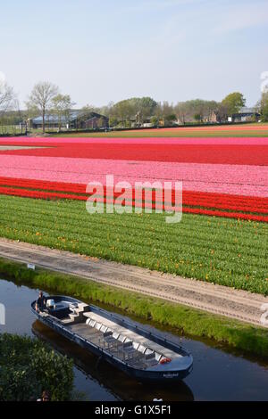 Traditional boat in the dutch bulb fields Stock Photo