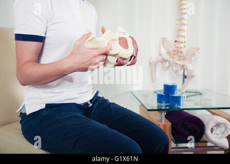A physiotherapist is holding a model of a human pelvis Stock Photo