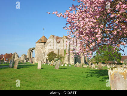 Winchelsea  St Thomas the Martyr Church in spring, East Sussex, UK Stock Photo
