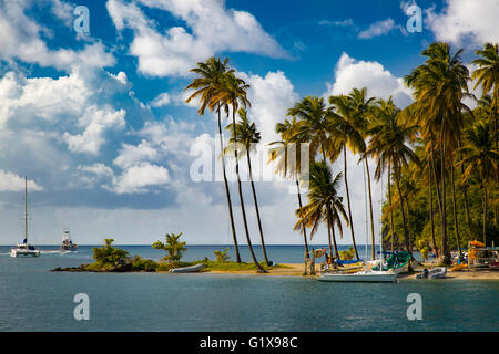 Palm trees at entrance to Marigot Bay, St. Lucia, West Indies Stock Photo