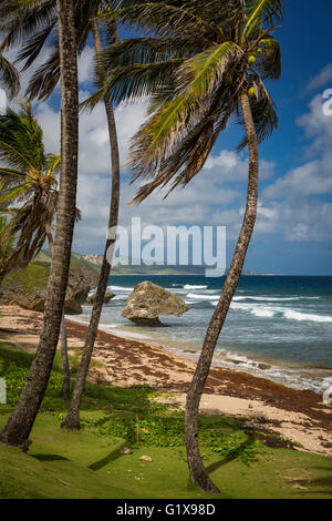 Bathsheba Rock in town of Bathsheba, Barbados, West Indies Stock Photo