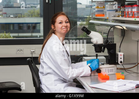 Scientist working at the microscope Stock Photo