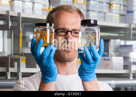 Prof. Dr. Florian Leese with sea spiders Stock Photo